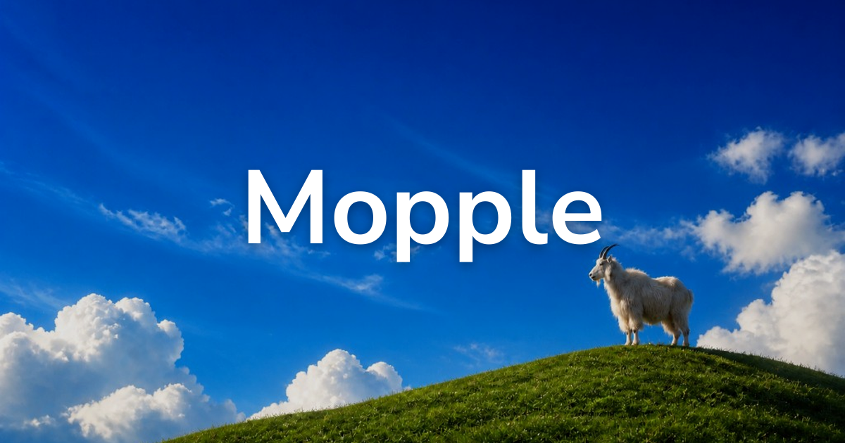 Mopple — the growth platform for ecommerce businesses